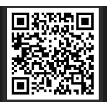 凤凰证券有限公司