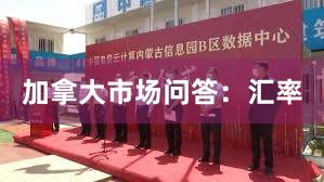 加拿大市场问答：汇率