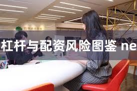 杠杆与配资风险图鉴 ne