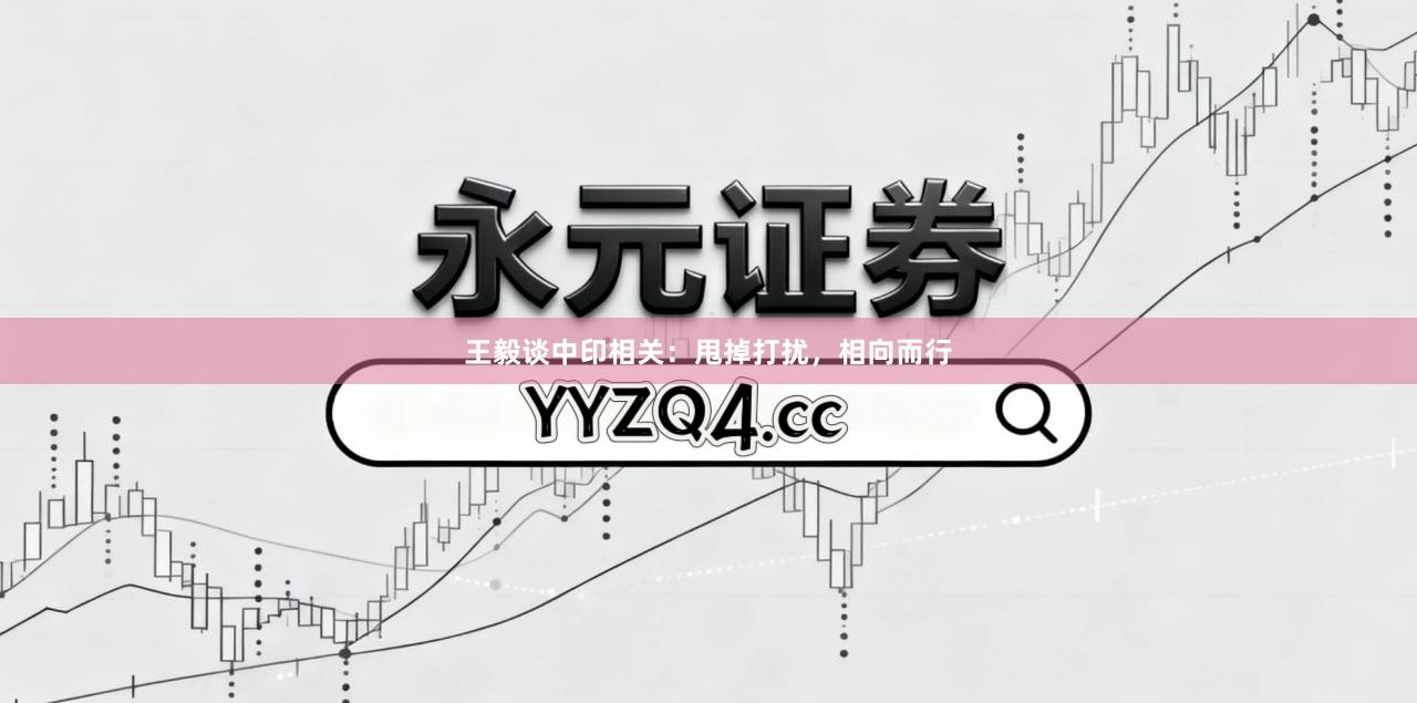 王毅谈中印相关：甩掉打扰，相向而行